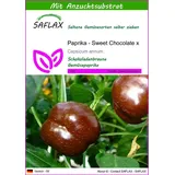 SAFLAX - Paprika - Sweet Chocolate x - 10 Samen - Mit keimfreiem Anzuchtsubstrat - Capsicum annum
