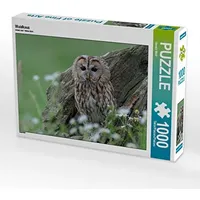 Calvendo Waldkauz Puzzle
