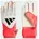 Predator GL Training J Lucred/Zero Metallic/Schwarz 4