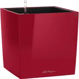 LECHUZA Cube 30 Komplettset 30 x 30 x 30 cm  scarlet rot hochglanz