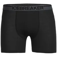 Icebreaker Merino 150 Anatomica Boxershorts - Black - L