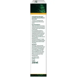 Hübner Kräuter Honig Tonikum 250 ml