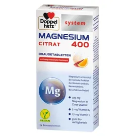 Queisser Doppelherz Magnesium 400 Citrat system