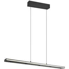 Trio Graham 1-flg. 200 cm eckig schwarz matt