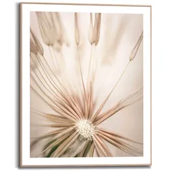 Reinders Wandbild 40 x 50 cm Pusteblume Holz Beige