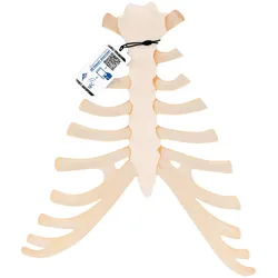 Brustbein Modell mit Rippenknorpel - 3B Smart Anatomy