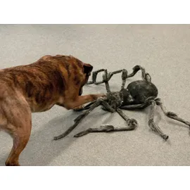 Europalms Monsterspider ca. 130cm