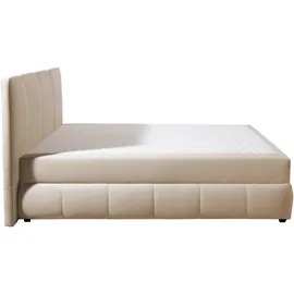 otto home Boxbett OTTO HOME "Hartley inkl. Bettkasten und Topper, auch in Überlänge erhältlich", beige, B:132cm L:210cm, Komplettbetten, wahlweise mit Bonnell- oder TTFK-Matratze in H2, H3 o. H4 erhältlich