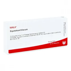 Equisetum/viscum Ampullen