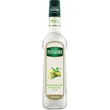 Teisseire Rohrzucker Bar-Sirup 700 ml
