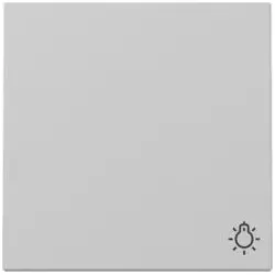 Gira Wippe mit Symbol Licht (grau matt)