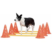 Pawise Dog Activity Set 23 x 32 cm