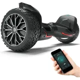 Bluewheel HX510 Hoverboard Schwarz