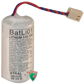 Daitem BatLi01 5 Ah