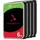 Seagate IronWolf 6 TB 3,5" ST6000VN006