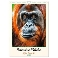 Calvendo Intensive Blicke - Affen Porträts (Wandkalender 2026 DIN