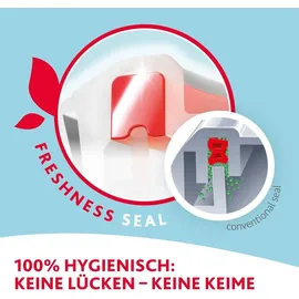 Emsa Frischhaltedose rechteckig rot 26,5 x 19,5 cm 2 l