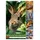 Calvendo Wild und Wundervoll Wandkalender 2026