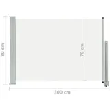 vidaXL Ausziehbare Seitenmarkise 80 x 300 cm