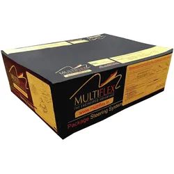 Multiflex Steuersystem 201 A