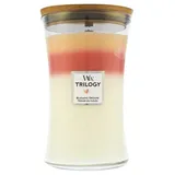 Woodwick Trilogy Blooming Orchard Duftkerze g