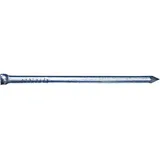 elc construction électronique Drahtstift gest. blank 3,1x 70 a 2,5kg
