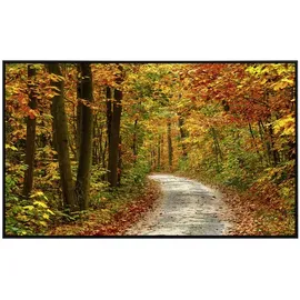 Papermoon Weg im bunten Herbstwald 600 W Matt-Effekt