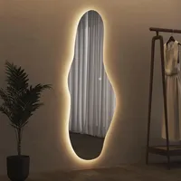 wdwritti Unregelmäßiger Ganzkörperspiegel 60 x 165 cm Transparent