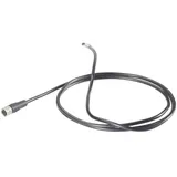 VOLTCRAFT Endoskopkamera Sonden-Ø 5,5 mm 2 m Wasserdicht IP67