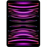 256 GB Wi-Fi + Cellular space grau