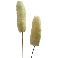 Flowerbox Luffa-Kopf am Stiel - beige