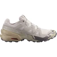Salomon Speedcross 6 Herren Grau/Silber 46