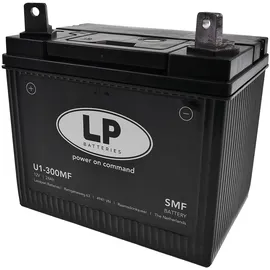 lp batteries Batterie 12V 24Ah für Rasenmäher Rasentraktor LB U1-300MF