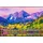 LG 65UK762H 65" 4K NanoCell Hotel Smart TV