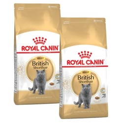 ROYAL CANIN British Shorthair Adult 2x10 kg