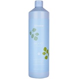 Echosline Balance Shampoo Purifying Shampoo 1000 ml