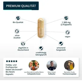 Brandl Bio Reishi Vitalpilz Kapseln 120 St.