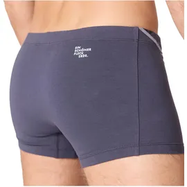 Ein schöner Fleck Erde Boxershorts Graphit M 2er Pack