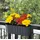 Spetebo Balkon Blumenkasten 39 x 13 x 13 cm Schwarz