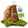 BEAUVITAL Bio Maitake Extrakt flüssig 100 ml