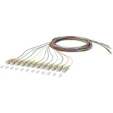 BTR Netcom OpDAT Pigtail SC 2m