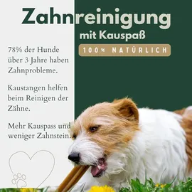 tier helden Rinderkopfhaut 20-25 cm 2 kg