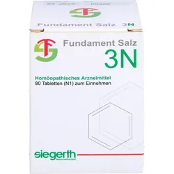 FUNDAMENT-Salz III N Tabletten 80 St.