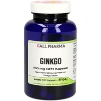 Hecht Pharma Ginkgo 160 mg GPH Kapseln 120 St.
