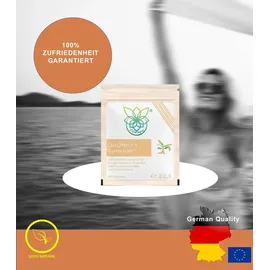 VITARAGNA liposomaler Kurkuma CurQFen Turmacin Komplex Kapseln 60 St.