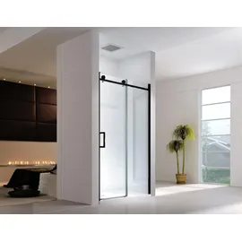 Glaszentrum Hagen 100x195 cm Schiebetür Duschtür ESG Glas