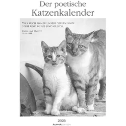 Der poetische Katzenkalender - Kalender 2026
