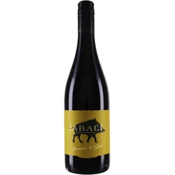 Virgen del Aguila Agoston Garnacha-Syrah 2023