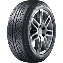 milever Winter-Max U1 MW655 195/60 R15 88T