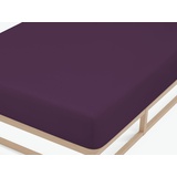 Biberna 0077144 Feinjersey 140 x 200 - 160 x 200 cm dunkelviolett